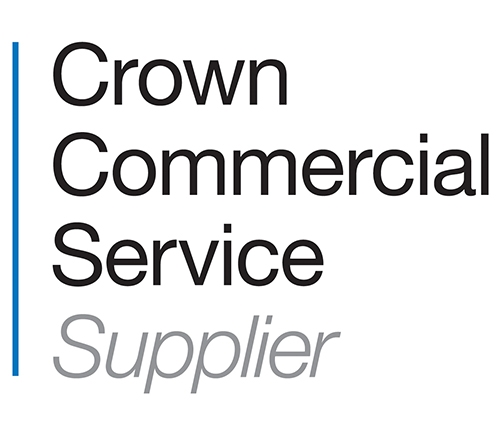 G-Cloud 10 Crown Commercial Service Supplier